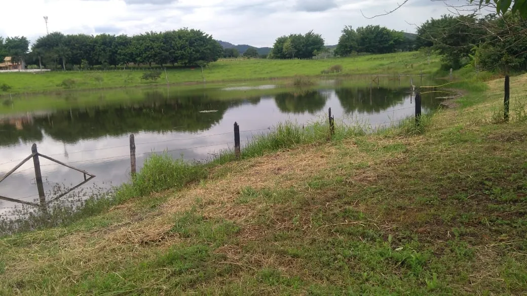 Imagem Chácara à venda e locação 3 Quartos, 3950M², Goiabal, Pindamonhangaba - SP