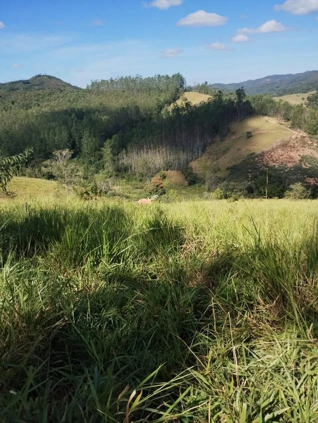Imagem Excelente Terreno à Venda em Piranga/MG: 36 Hectares com Rica Infraestrutura