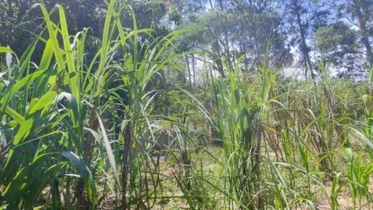 Imagem CH0359 - Chacara a venda em Bofete - aceito permuta Botucatu
