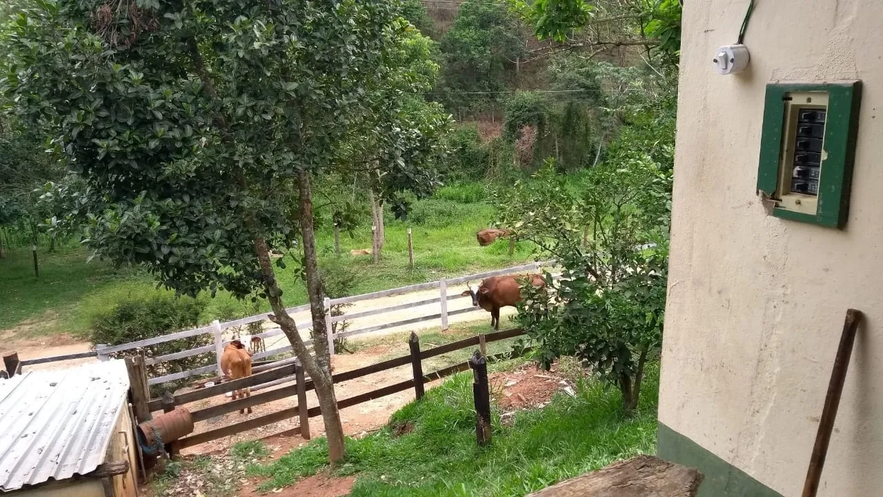 Imagem Chácara à venda 3 Quartos, 20000M², Zona Rural, Guaratinguetá - SP
