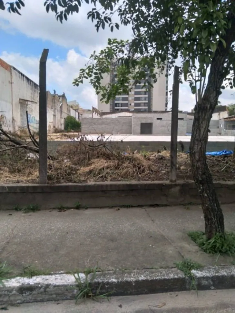 Imagem Alugar terreno em Vila Silveira, Santo André SP, aluguel terreno em Santo André Sp
