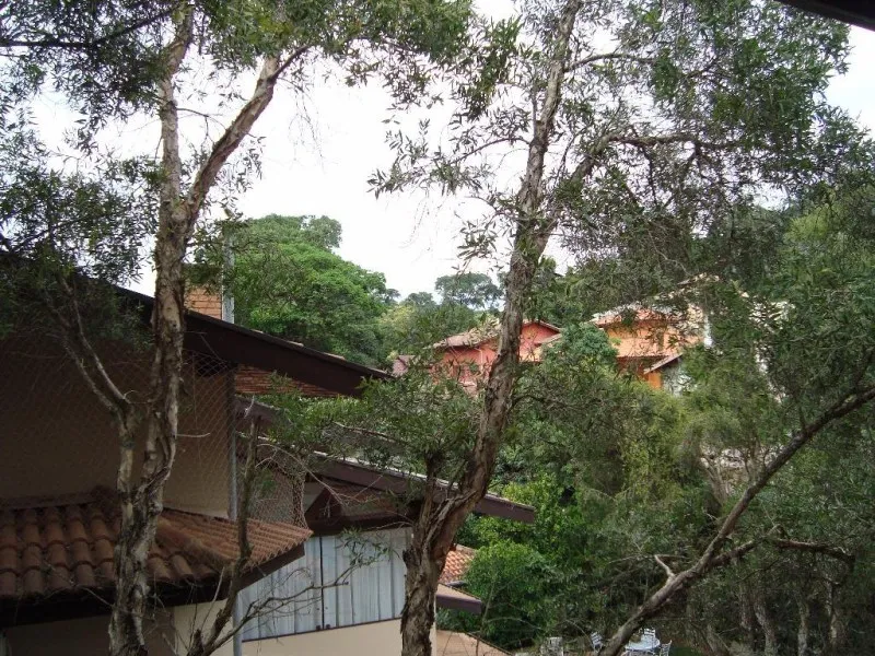Imagem Imperdível oportunidade de adquirir casa de luxo em condomínio no Condomínio Chácara Flora, Valinhos-SP: 4 quartos, 4 suítes, 6 banheiros, 4 vagas, 430m².