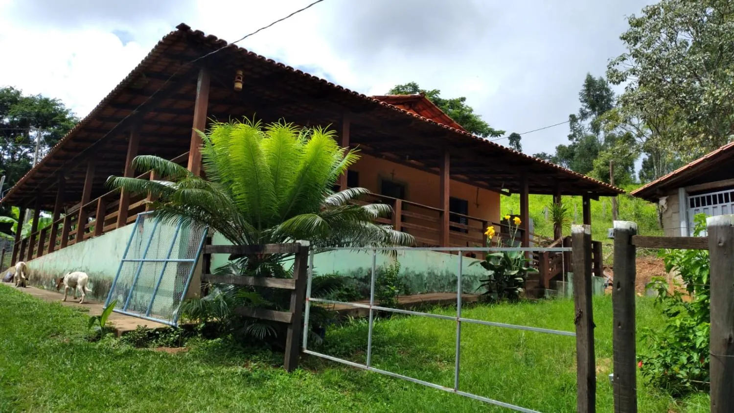 Imagem Vendo um ótimo sítio em Itaguara/Mg com 78.000 m² de terra,