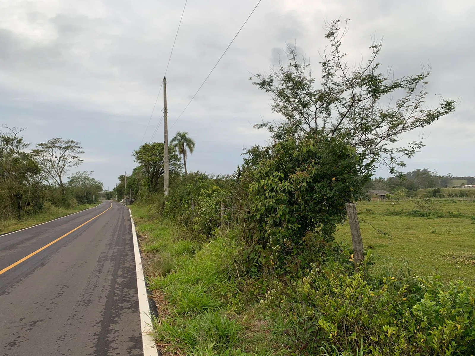 Imagem Lote à venda em Torres, Centro, 1700m2