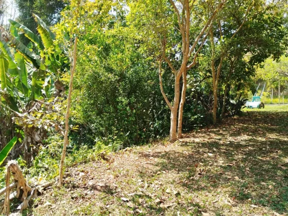 Imagem Sítio 36 mil m² Piracaia Asfalto e Escritura Estuda Proposta!!