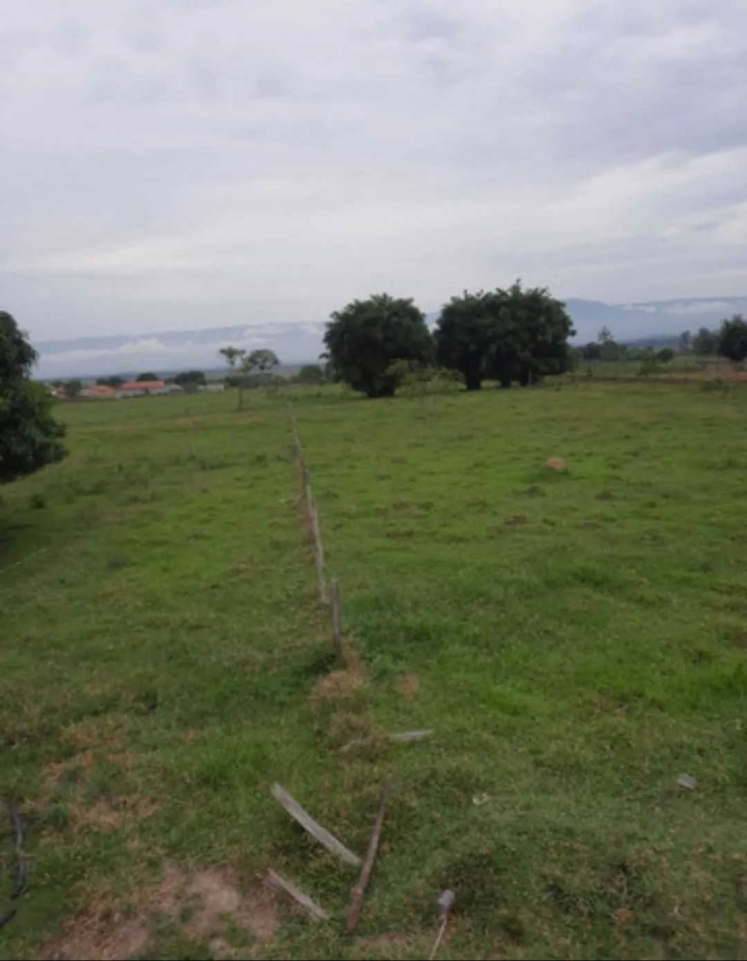 Terreno à venda 12000M², Centro, Roseira - SP
