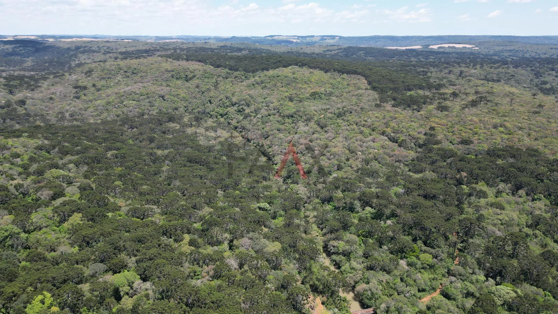 Imagem CHACARA A VENDA NO DISTRITO DO GUAIRACA, GUARAPUAVA - PR