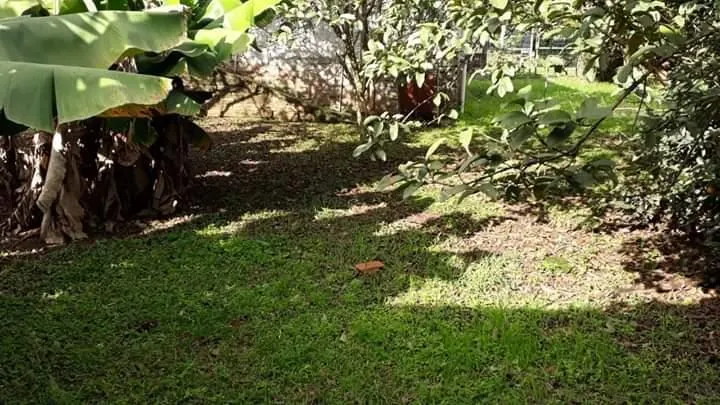 Imagem Terreno para Venda em São Leopoldo / RS no bairro Arroio da Manteiga