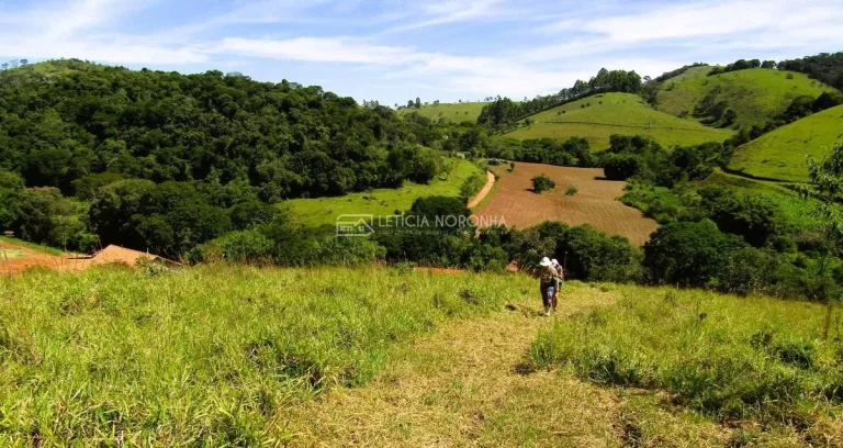 Imagem Chácara a venda