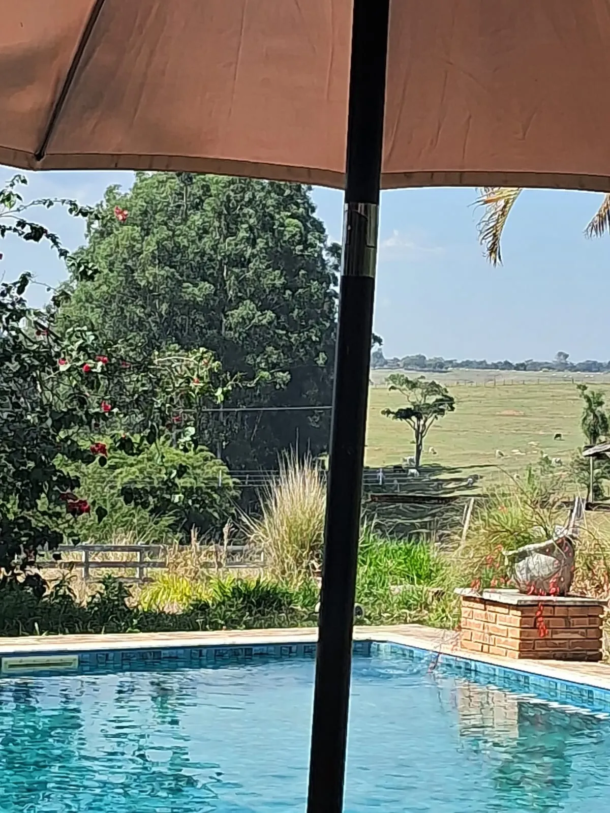 Imagem Chácara Dona Terra em Porangaba/SP ? Imóvel com Área Gourmet, Piscina e Pasto
