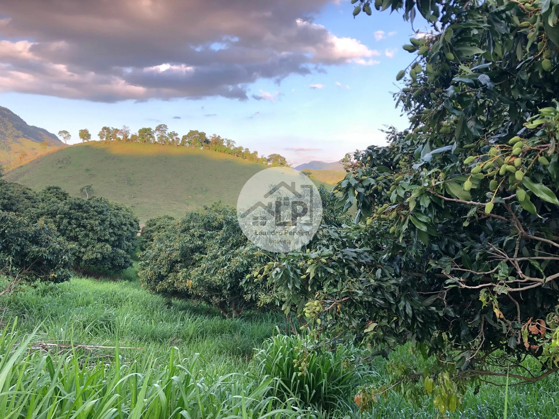 Imagem Fazenda/Sítios/Chácaras de 480000m² no bairro Carmo, em Carmo