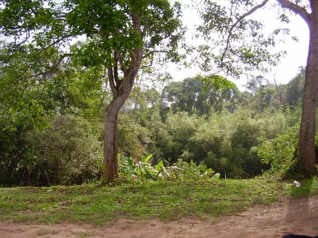 Imagem Terreno à venda em Suzano - SP, Chácara à venda em Suzano - SP