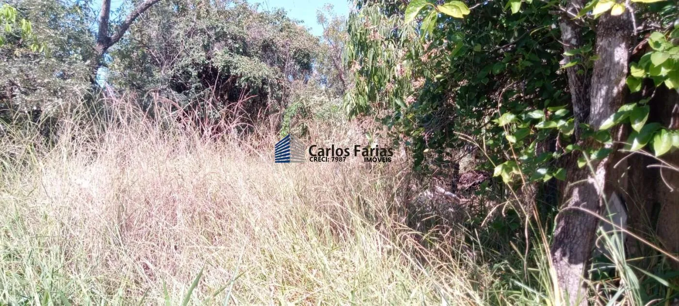 Imagem Lote em Condomínio Fechado para Venda em Brasília, Setor Habitacional Tororó (Jardim Botânico)