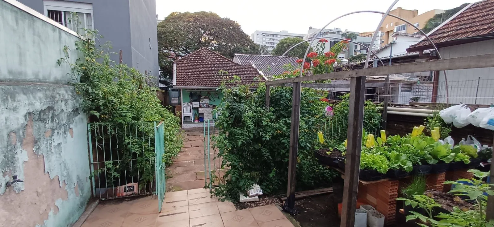 Imagem Vende-se casa de madeira, com dois dormitórios, banheiro, sala e cozinha. Localização privilegiada no bairro Jardim Botânico. Área do terreno com 6,6mx44m.