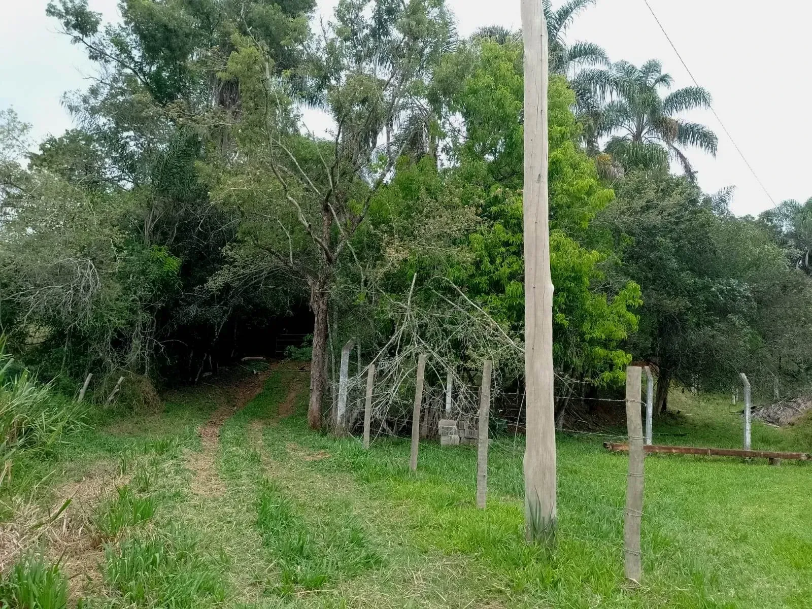Imagem Chácara com 2 Quartos à Venda, 80 m² em Caldas - Caldas