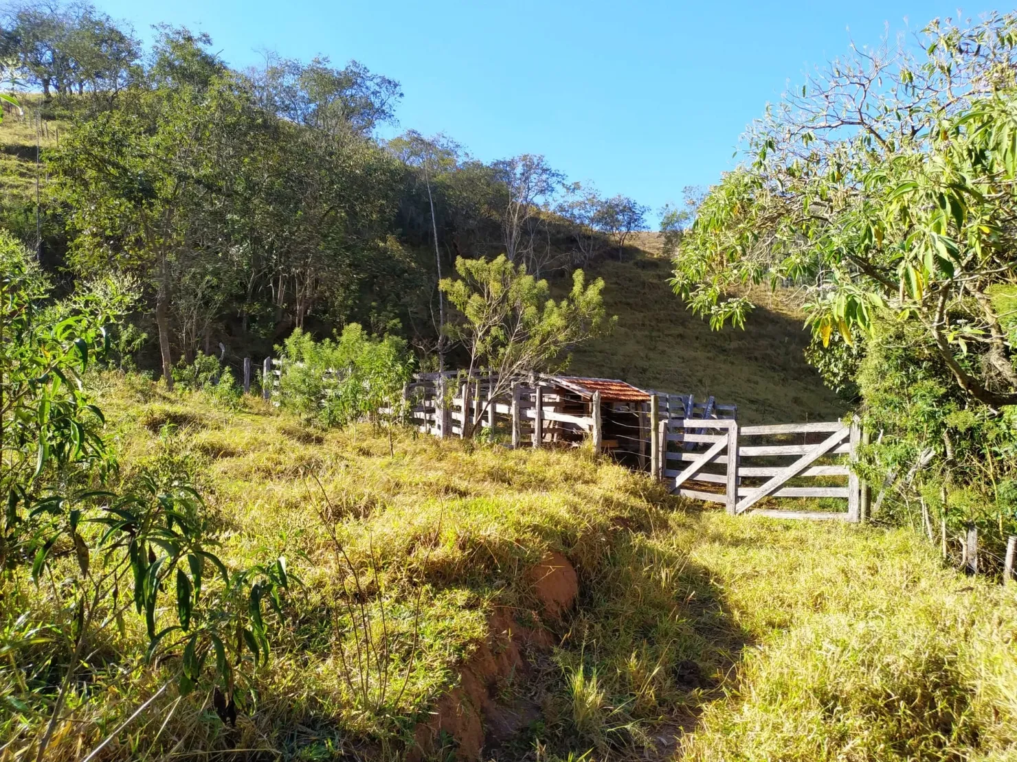 Imagem Chácara à venda 3 Quartos, 36000M², Zona Rural, Cunha - SP