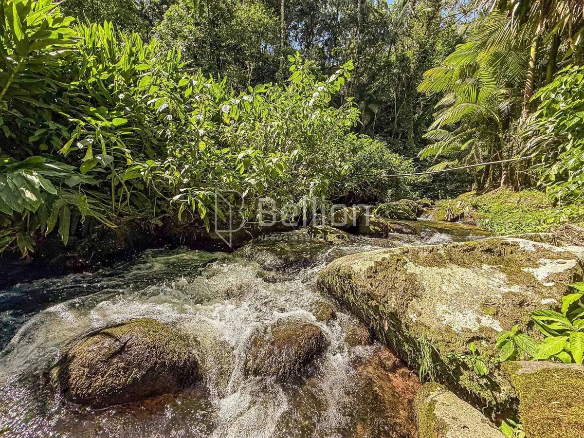 Imagem Sítio com lago e riacho em Rio dos Cedros