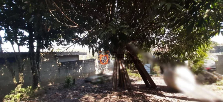 Imagem Chácara com 1 dormitório à venda, 600 m² por R$ 480.000,00 - Terra Preta - Mairiporã/SP