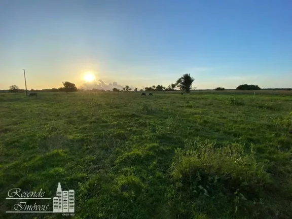 Imagem FAZENDA A VENDA NO RURAL MARGEM DO RIO CAMARÁ