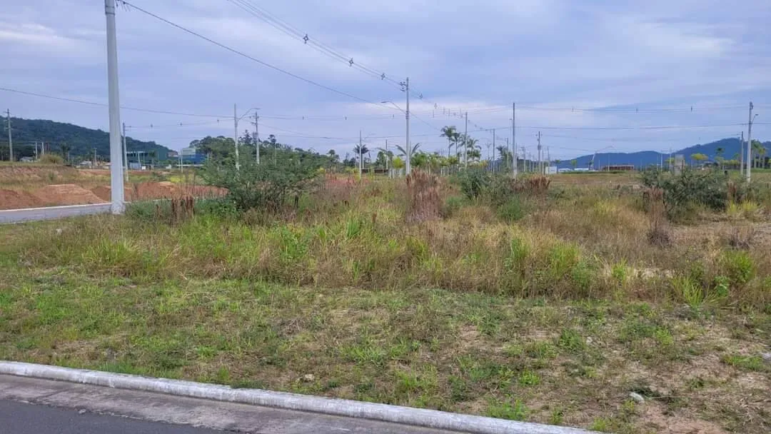 Imagem Terrenos com Viabilidade Multifamiliar - Norte da Ilha
