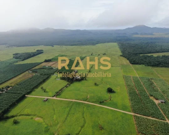Fazenda mais linda de Garuva, é 100% plana, pode-se ver o gado de ponta a ponta da fazenda, tendo u...