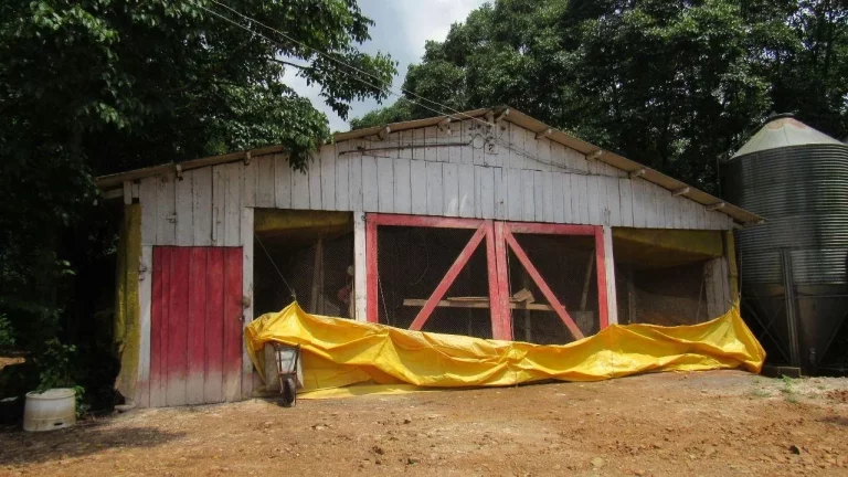 Imagem Área Agrícola para Venda em Concórdia, Linha Sertão
