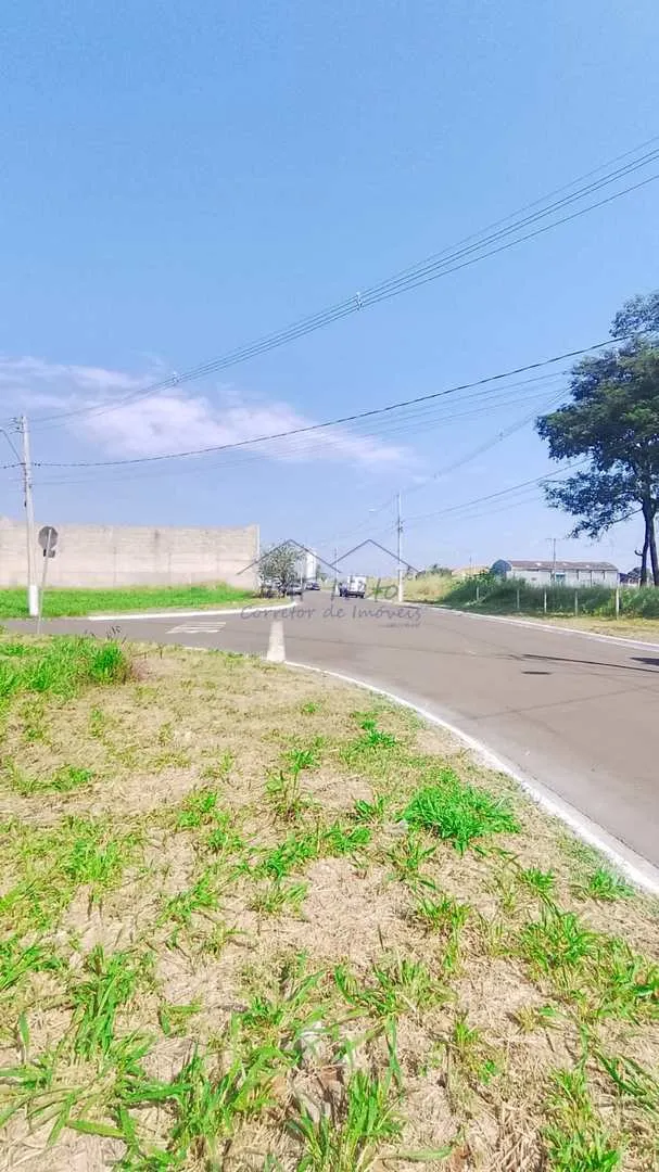 Imagem Terreno Padrão