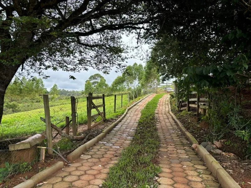 Imagem Vende-se Maravilhoso Sítio em Entre Rios de Minas - com 10 hectares de terra