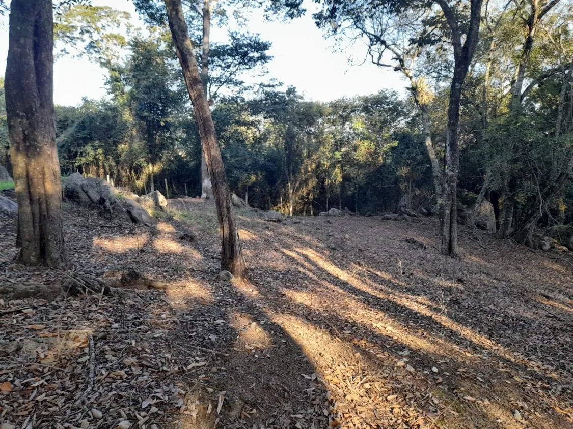 Imagem CHÁCARA EM CONDOMÍNIO - BAIRRO DA RESSACA - IBIUNA