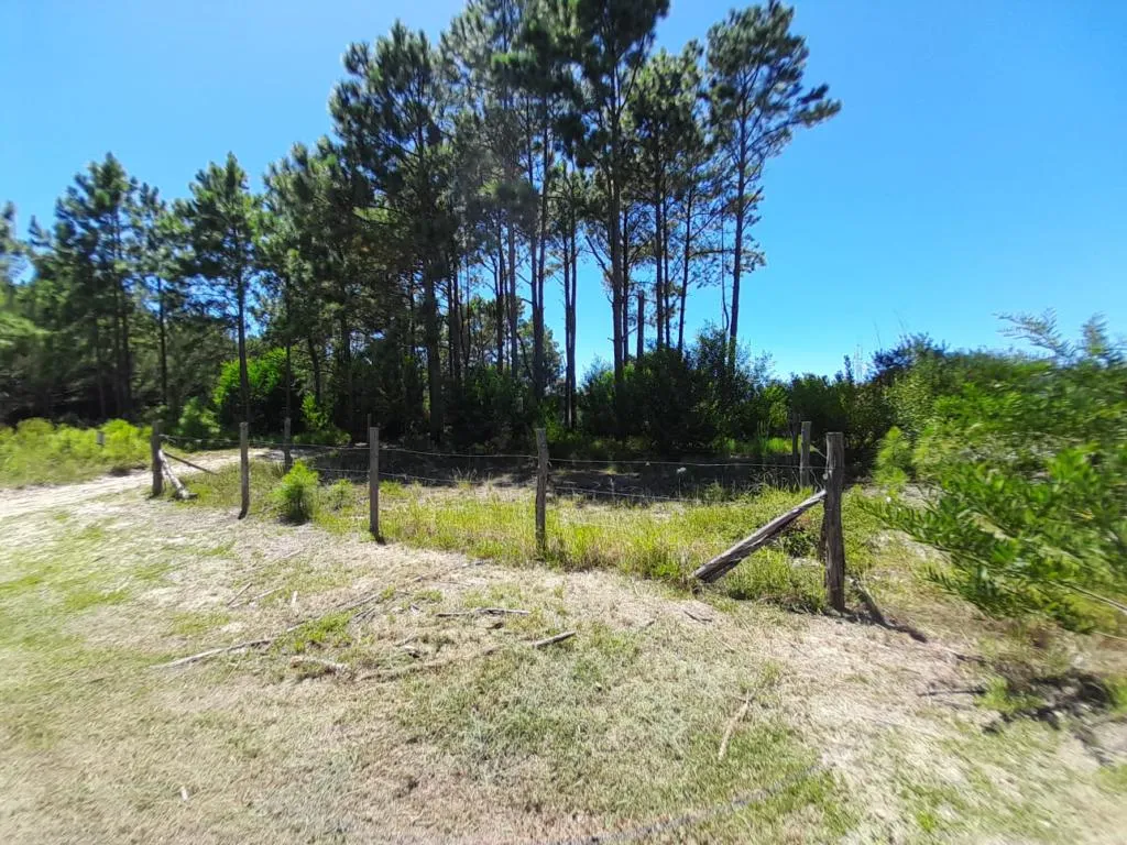 Imagem Terreno - Bairro Capão Novo