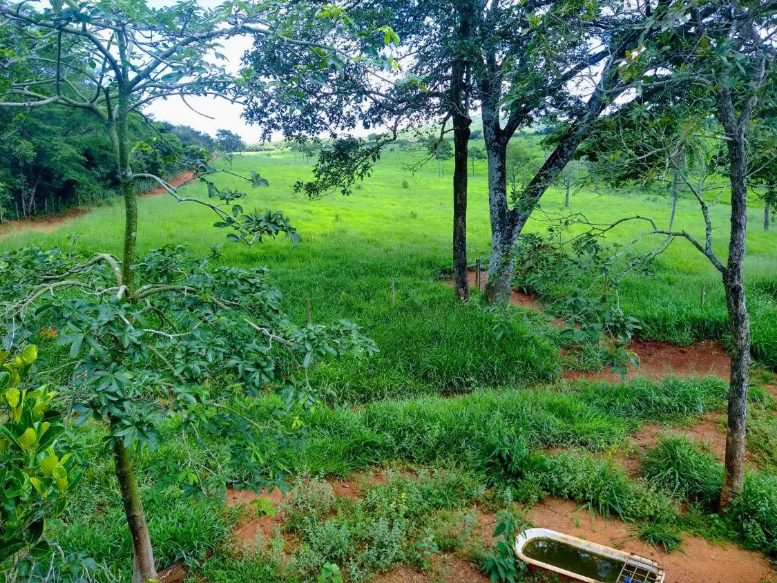Imagem Oportunidade Imperdível em São José da Varginha/MG 38 hectares de terra