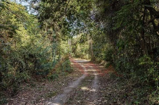 Imagem Paraíso Rural em Jundiaí: Sítio com 145.000M² com Casa Sede e Infraestrutura Completa