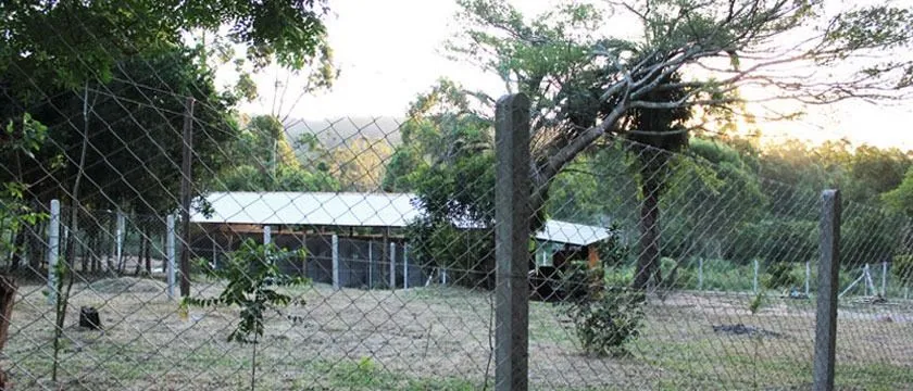 Imagem Sítio em Itapuã