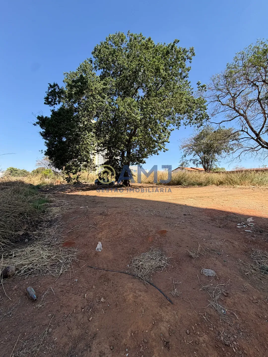 Imagem TERRENO À VENDA | 801,80 m² | VILA ROSA - GOIÂNIA