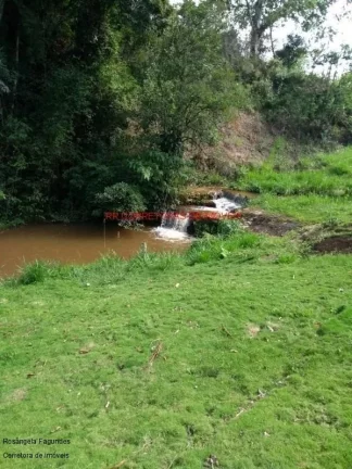 Imagem CHACARA RURAL em PALMEIRAL - MG, PALMEIRAL