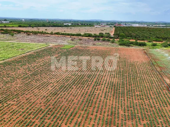 Imagem Fazenda com 116ha, Casa, Galpão, 25ha plantados e mais 32 prontos para plantar