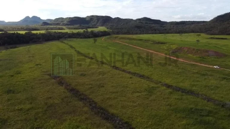 Imagem Fazenda à venda em Campos Lindos-TO: 6.706 hectares de pura oportunidade de investimento!