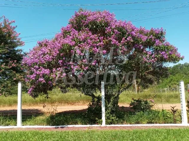 Imagem Sitio para venda de 2.400m² em São Sebastião do Cai/RS.