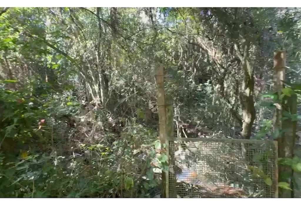 Imagem Terreno em Vila Nova