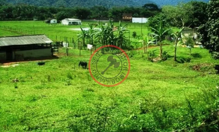 Imagem FAZENDA COM 55 MIL METROS DE AREA UTIL EM SAO SEBASTIAO