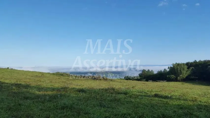 Imagem Excelente sítio para venda localizado no bairro Morungava em Gravataí/RS