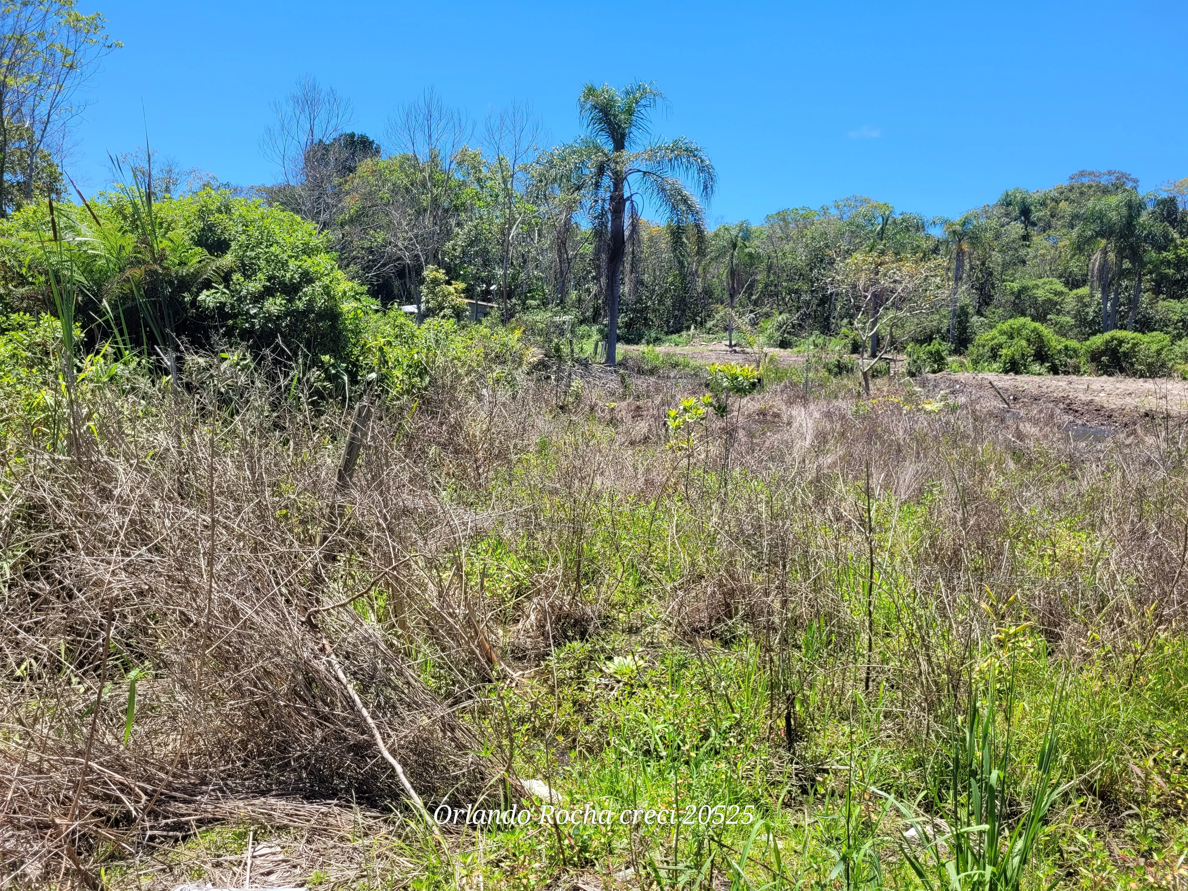 Imagem Terreno à Venda, 360 metros em Barra do Saí - Itapoá