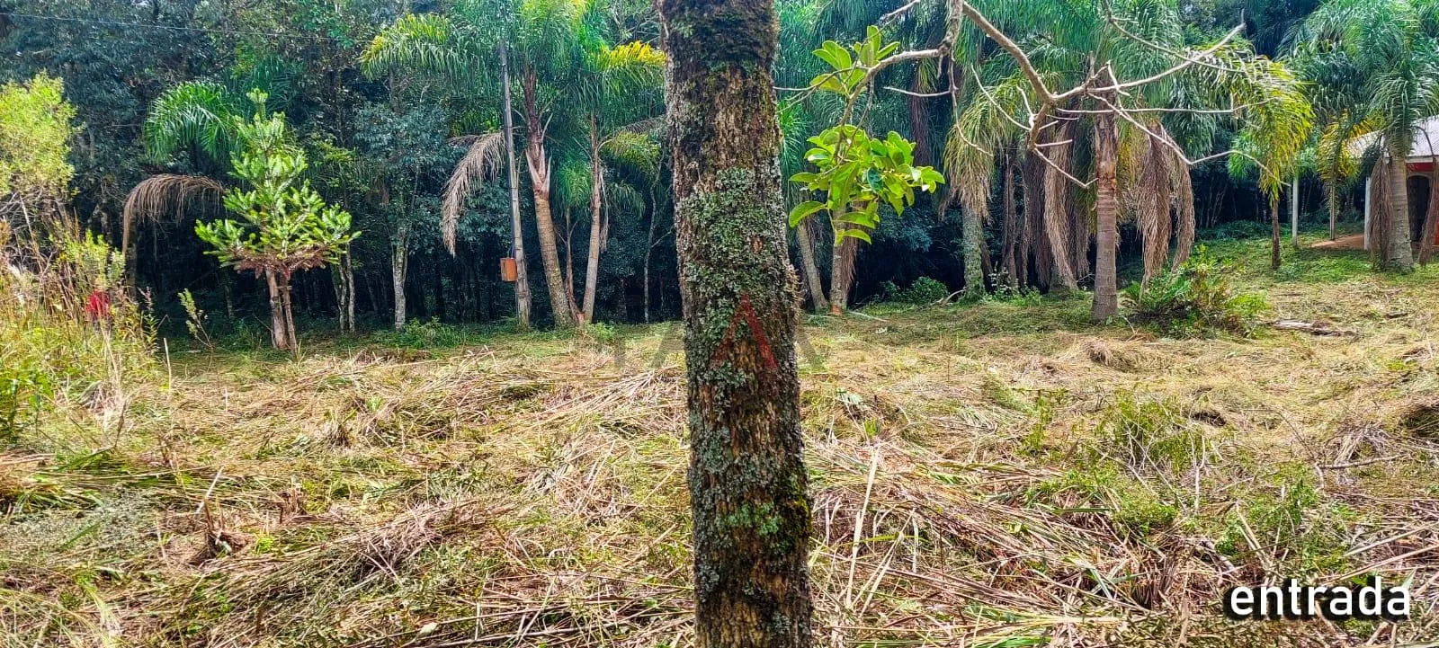 Imagem Chácara com 2 dormitórios à venda,60500.00 m , Guabiroba, GUARAPUAVA - PR