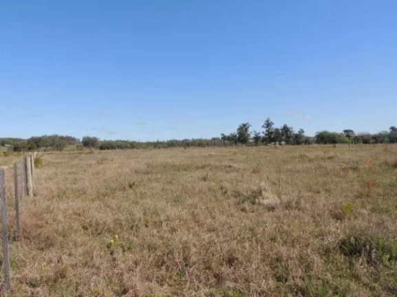 Imagem Terreno residencial fora de condomínio, Morro Grande / Viamão