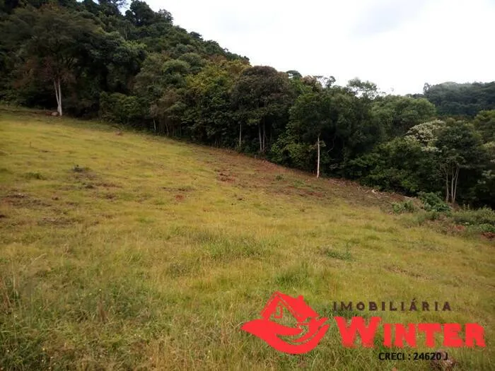 Imagem Chácara de 12,5 hectares em Bom Princípio.