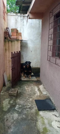 Imagem Terreno com Sobrado não Averbada - Capela Velha - Araucária