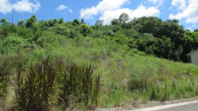 Imagem Terreno para Venda em Concórdia, Primavera