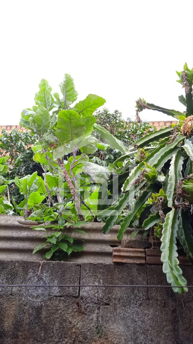 Imagem Casa 3 quartos à venda em Jardim Eldorado, Botelhos