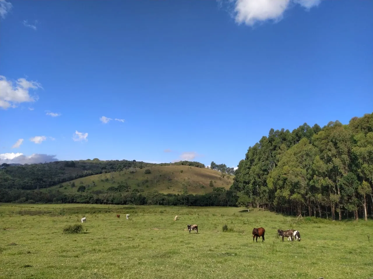 Imagem Chácara à venda 20000M², Aparição, Cunha - SP