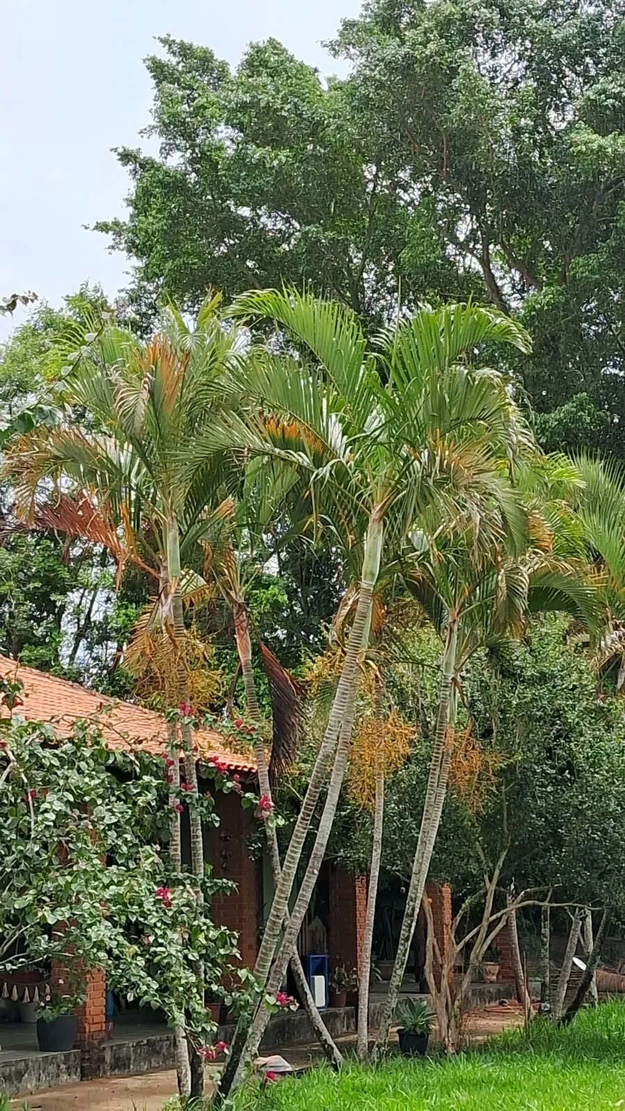 Imagem Chácara Dona Terra em Porangaba/SP ? Imóvel com Área Gourmet, Piscina e Pasto